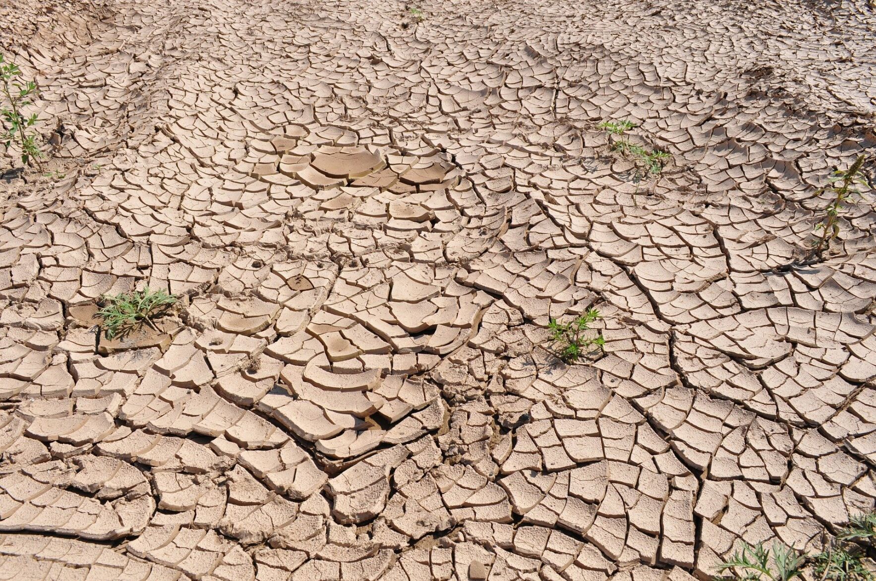 Global warming